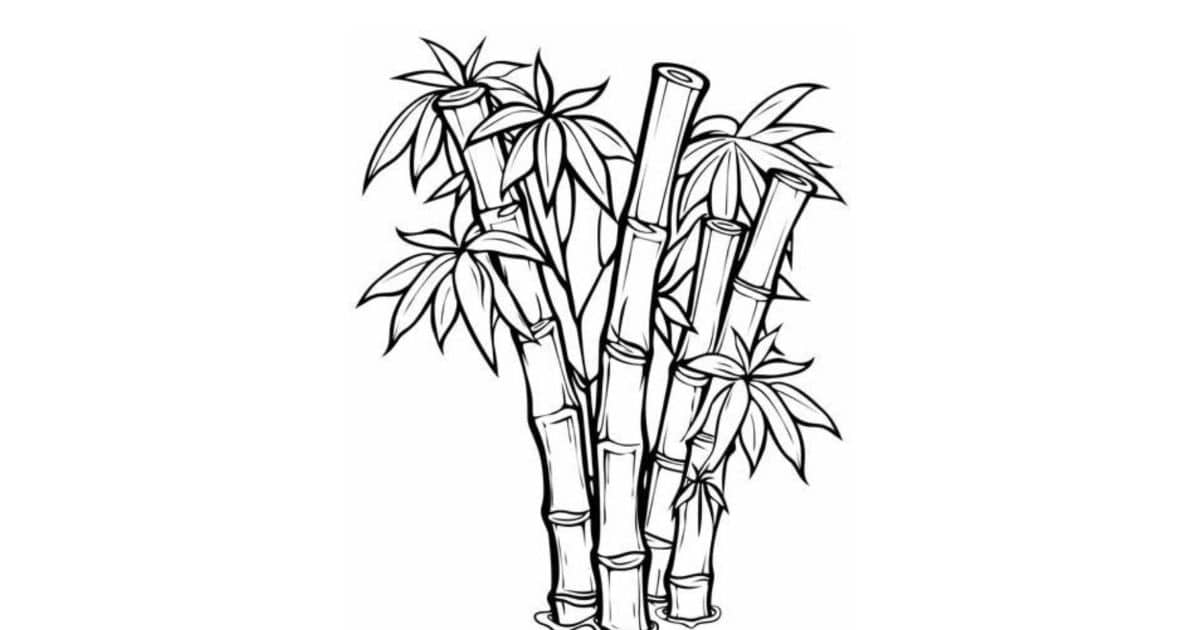Bamboo Leaf Coloring Pages Printable