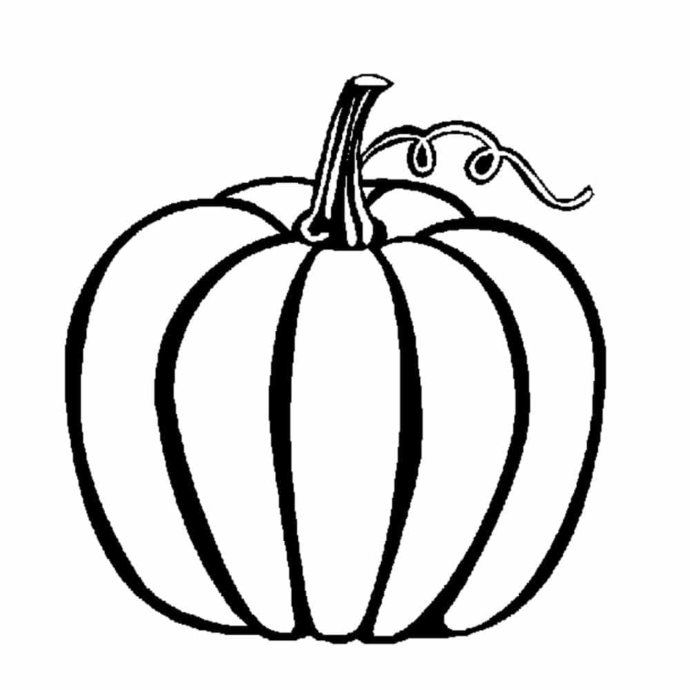 Free giant pumpkin coloring pages Free giant pumpkin coloring pages