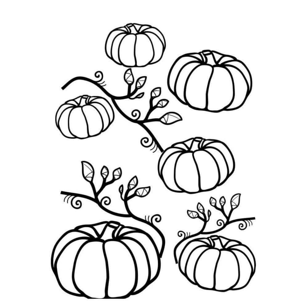 Free giant pumpkin coloring pages Free giant pumpkin coloring pages