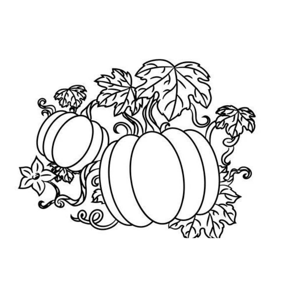 Free giant pumpkin coloring pages Free giant pumpkin coloring pages