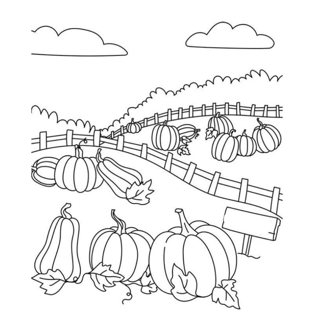 Free giant pumpkin coloring pages Free giant pumpkin coloring pages