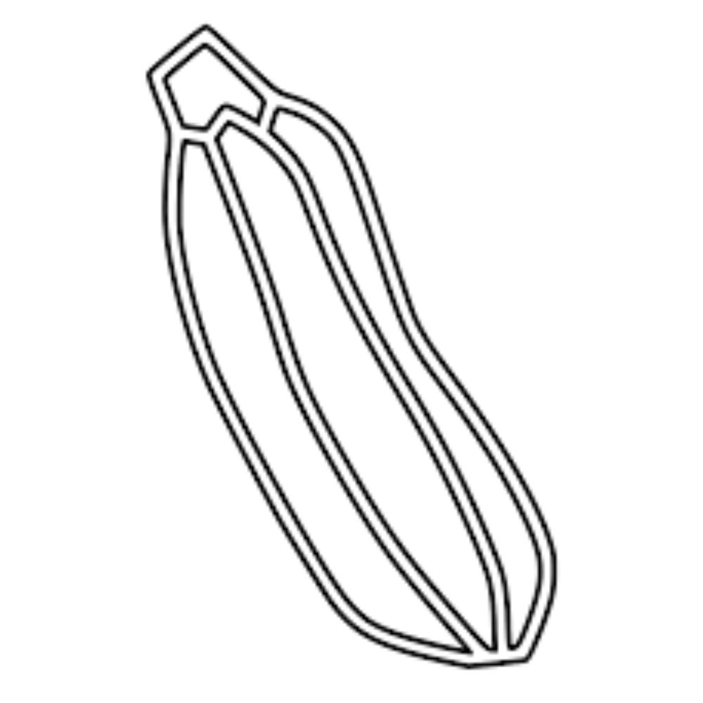 Zucchini Coloring Pages Printable Zucchini Coloring Pages Printable