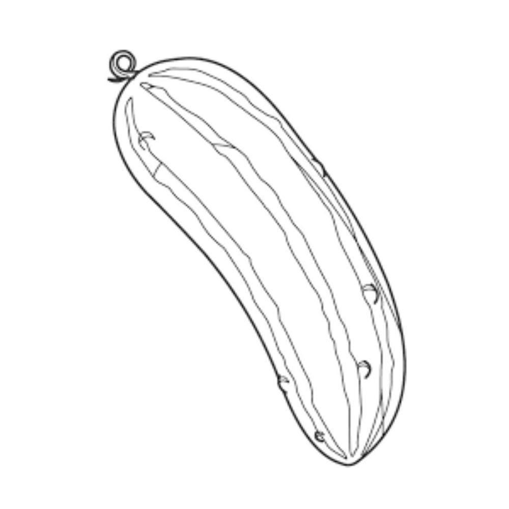 Zucchini Coloring Pages Printable Zucchini Coloring Pages Printable