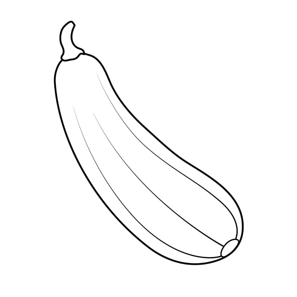 Zucchini Coloring Pages Printable Zucchini Coloring Pages Printable