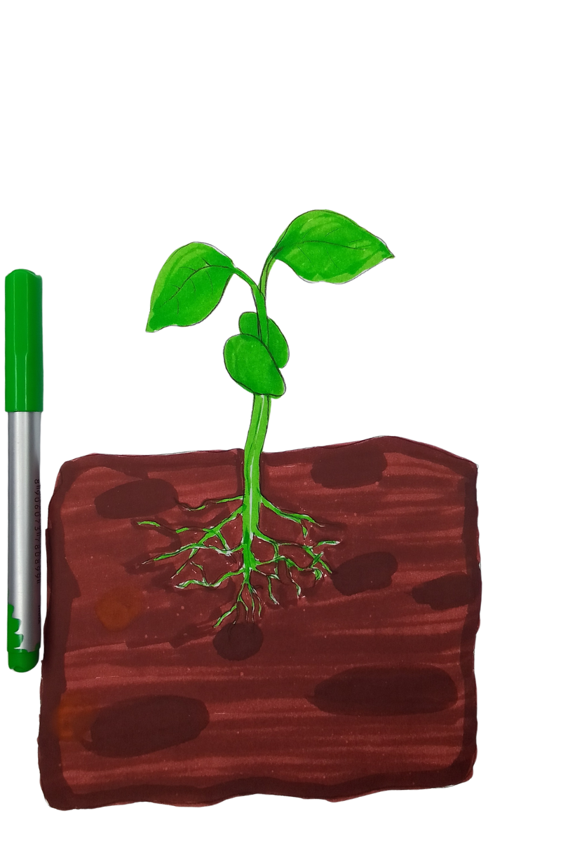 How to Draw a Scary Tree Step by Step How to Draw a Scary Tree Step by Step