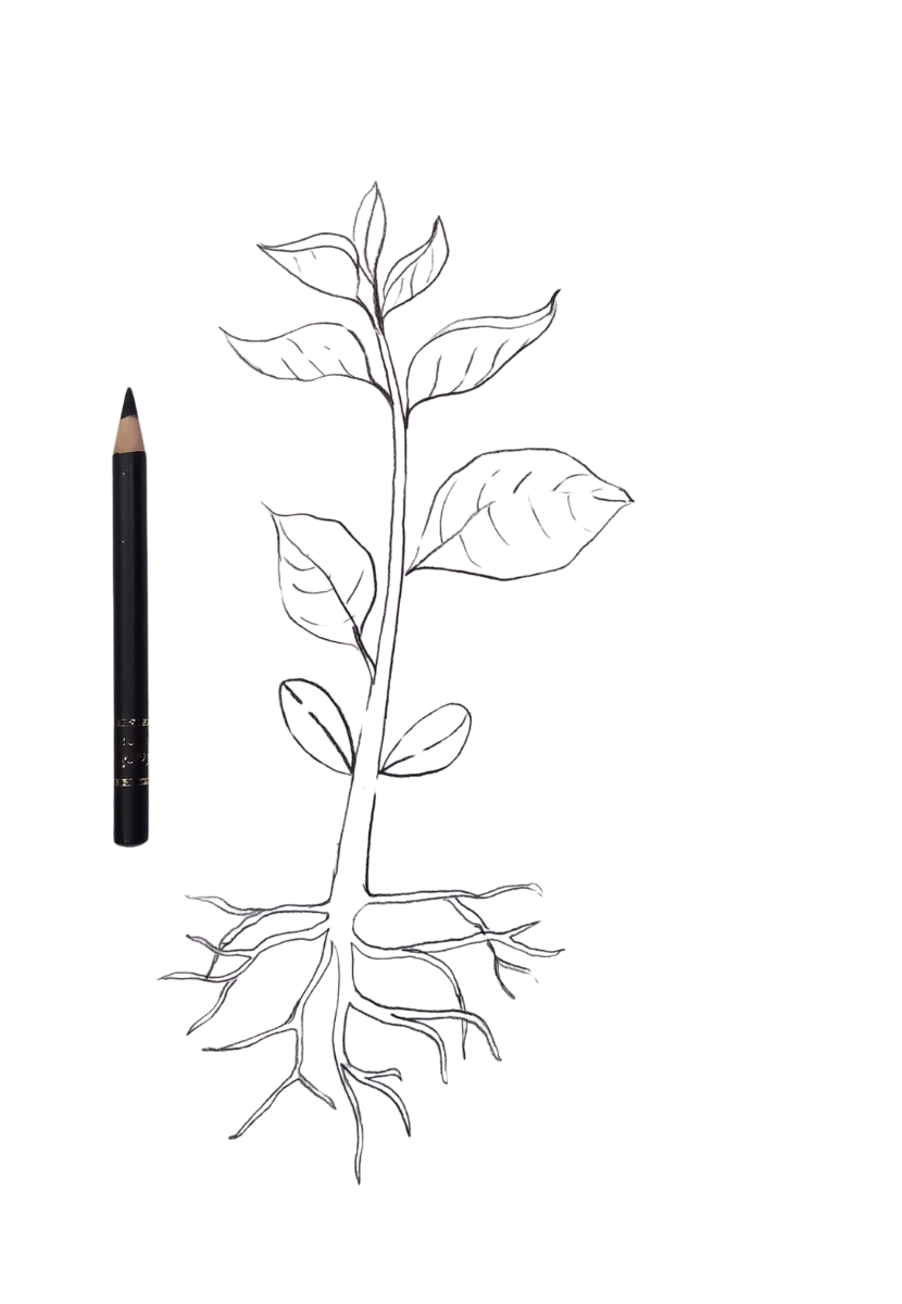 How to Draw a Scary Tree Step by Step How to Draw a Scary Tree Step by Step